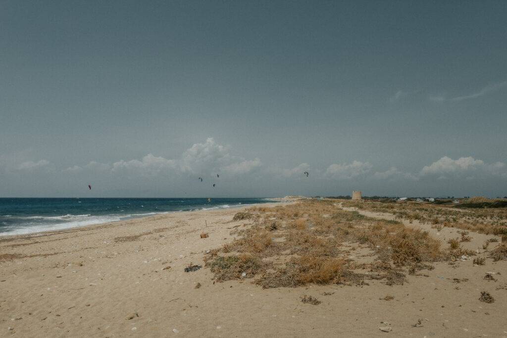 SURPRISE WEDDING PROPOSAL