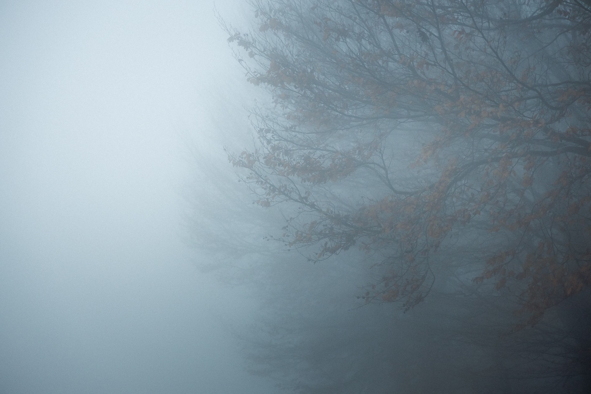 pelion wedding photographer