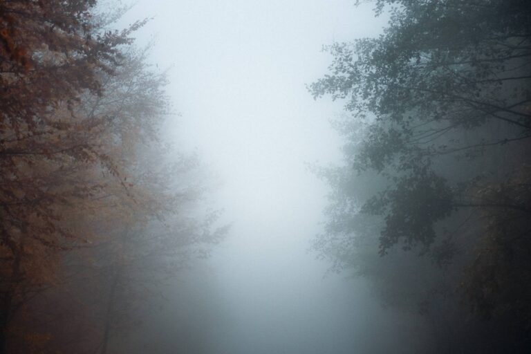 PELION WEDDING PHOTOGRAPHER – DISCOVERING THE MAGIC