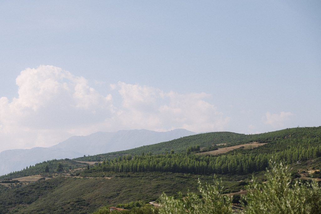 WEDDING IN LIVADIA